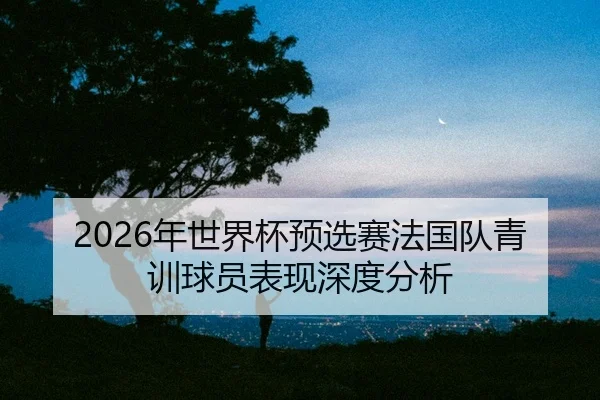 nian-shi-jie-bei-yu-xuan-sai-fa-guo-dui-qing-xun-qiu-yuan-biao-xian-shen-du-fen-xi-2-897.jpg