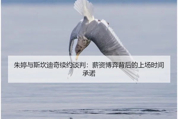 朱婷与斯坎迪奇续约谈判：薪资博弈背后的上场时间承诺