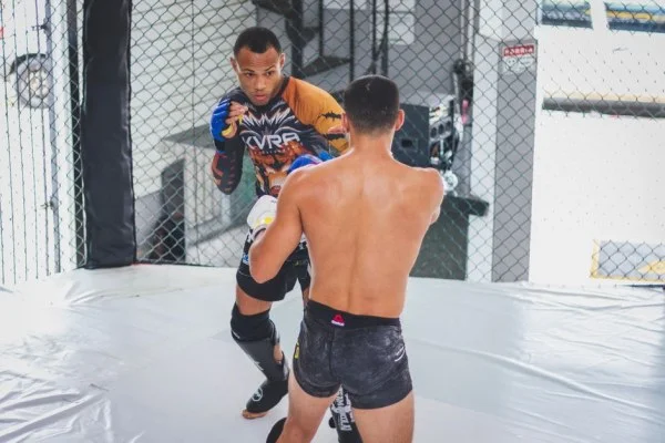 MMA cage fight action
